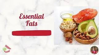 Episode 3: Our Daily Chews Podcast - Essential Fat