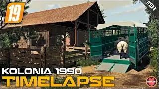 BUYING SHEEP, HARVESTING CANOLA ⭐ FS19 Timelapse Kolonia 1990