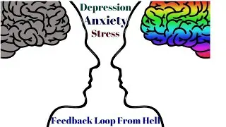 Feedback Loop | Overthinking