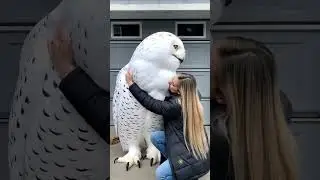 WHAT IS THIS CREATURE?! The Internet Can&rsquo;t Handle It! 😱🦉
