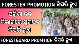 forester & forestguard promotion details!! promotion details odisha forest department