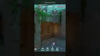 Best Vyse Setup in Pearl A Site