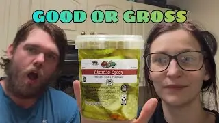 Aldi&rsquo;s Park Street Deli Atomic Pickle Chips | Good or Gross | FOOD REVIEW