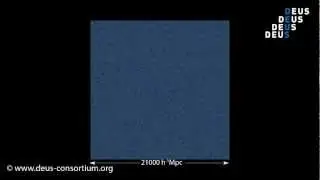 DEUS Full Universe Run - Inside present dark matter distribution