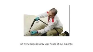 Bed Bug Exterminator Denver
