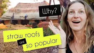 The SECRET of thatched roof ancient technology. Bungalow design Zambia  #travelvlog #zambianyoutuber