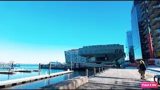 Back in Boston for Winter - Part 4/8