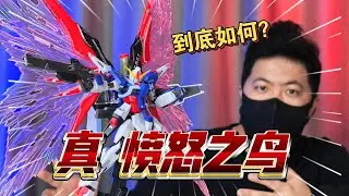 真 憤怒之鳥 鐵骨 命運 高達 1 144