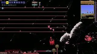 Just beating Calamitas Clone, nothing else :3