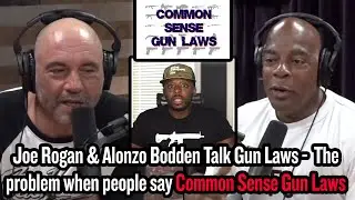 The Problem When People Say Common Sense Gun Laws - Joe Rogan & Alonzo Bodden Talk Gun Laws