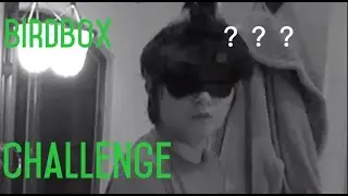 Blindfold/Birdbox Challenge