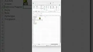Insert Expandable Pictures into Cells in Excel