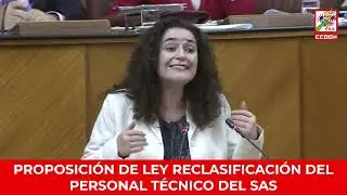 Intervención de los grupos parlamentarios sobre la reclasificación del personal técnico del SAS