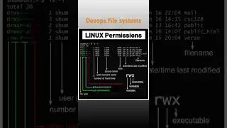 File permission in linux #devops #linux #file #freshers