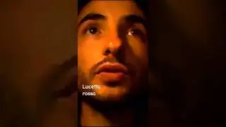 Lucetta rossa