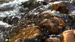 Creekside Calm: Guitar Melodies by Flowing Waters