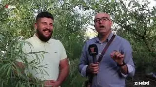 🔴  موال كردي جميل بصوت الفنان علي الكردي