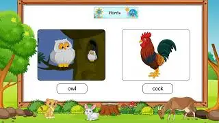 Ch 6 | Sparkle Planet | Picture Book | A | Birds | For children