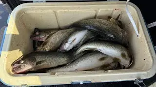 Lake Erie Walleye FRENZY EP 1.