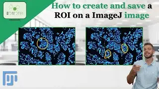 How to create and save a ROI on ImageJ to use in other images #imagej #roi #analysis #imageanalysis
