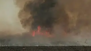 Controlled Burn Takes Place at Bunker Hills Regional Park