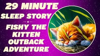 Sleep Stories For Kids - FISHY THE KITTEN OUTBACK ADVENTURE - Kids Guided Meditation