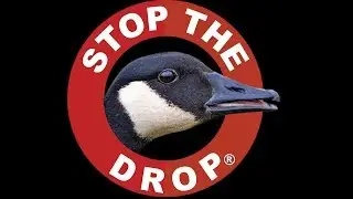 Flight Control&reg; Plus - Goose Repellent
