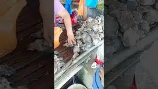 The best oysters in the Philippines.New Washington, Aklan 👌 #feelalivefeelaklan