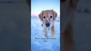 Exploring the world with two dogs ❤️