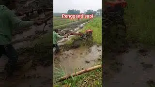 mesin bajak tenaga diesel pemgganti sapi jaman dahulu #video #agrikultur#technology#farming#youtube