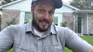 Chinch bugs! Catch them early!
