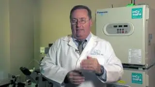 IVI RMA Global: The largest Assisted Reproduction group in the world