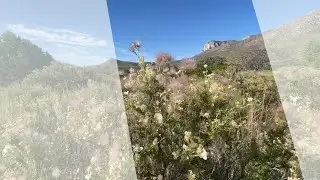 Carlsbad, NM