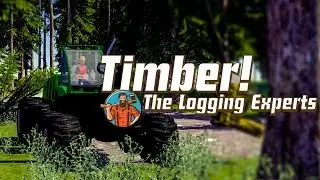 FORSTMASCHINEN: Profis im Wald #2 - Der Bug im Forstsimulator! I Timber! The logging experts