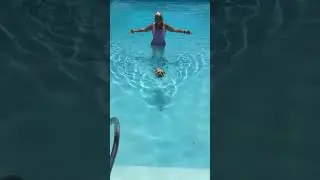 Teddy the Schnorkie Loves To Swim!