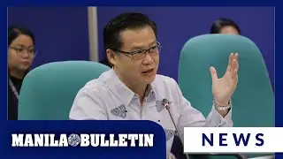 Gatchalian pushes amendment to Teachers Professionalization Act