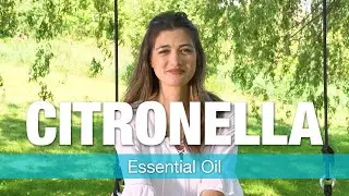 Aromapathic Labs Citronella Oil - Uses & Reviews by Essential Oil Specialist | National Nutrition
