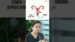 IUI vs. Natural Try &ndash; Which is Better for You? Dr Rhythm Gupta - IVF Specialist at Excel IVF