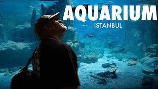 DAS erwartet dich im AQUARIUM ISTANBUL! - Unterwegs mit Claude & Alex