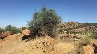سد فم القيس قايس خنشلة - Barrage Foum El Gueis Kais Khenchela 