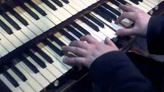 Jejkowice Profesor K.M.W mogile ciemnej