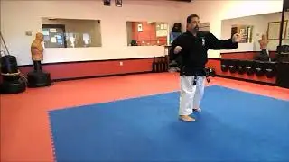 Uechi-ryu Karate Do -Kanshu Kata for Teaching by Len Testa