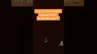 you are the reason cover my Brobix.