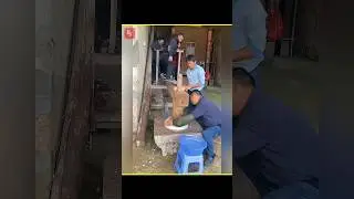 old technique to make cake #facts