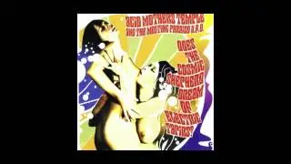 Acid Mothers Temple & The Melting Paraiso U.F.O. &mdash; Hello Good Child