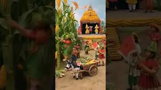 corn farming in village #video #village #corn #farming #viral #viralvideo