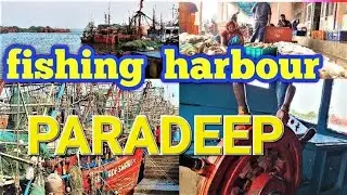 Paradeep Port fishing harbour.