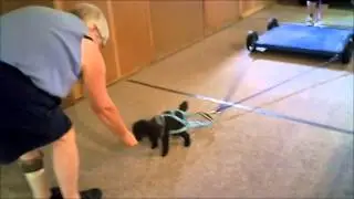 Weight pulling