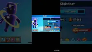 The best sg player in my fl #stumbleguys #friendlist