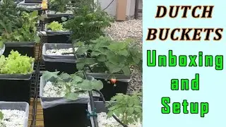 Hydroponic System Unboxing - Dutch/Bato Buckets Complete Setup/Fast and Easy